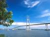 Nghiên cứu và cân nhắc phương án xây dựng cầu Mỹ Thuận 2