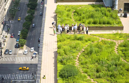 Từ năm 2000, sân thượng của Hội đồng thành phố Chicago được phủ cây xanh mướt.