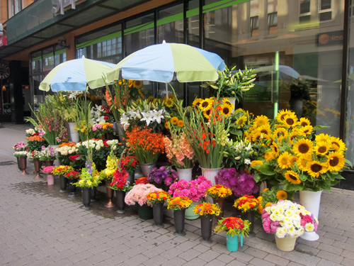 Cửa hàng hoa bày bán ngay ở lòng đường của những con phố đi bộ.